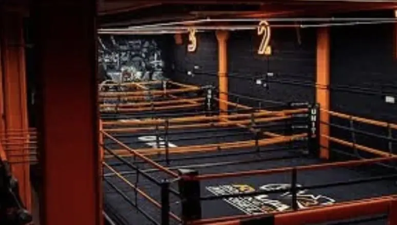 The rings at Marbella Combat Club